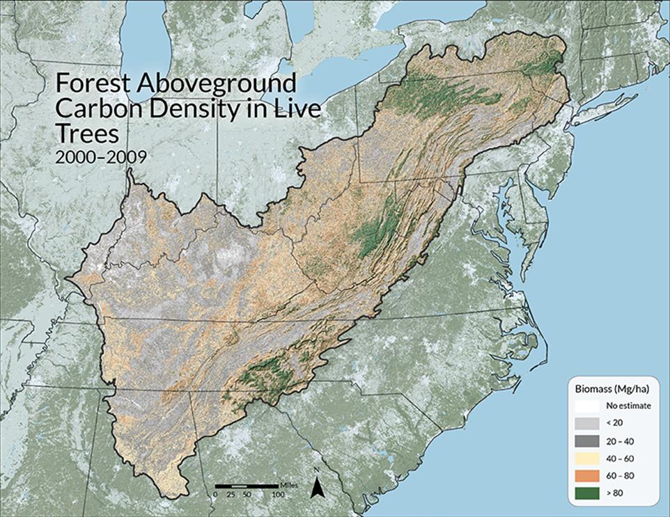 Wilson, BT, CW Woodall, and DM Griffith. 2013. Forest carbon stocks of the contiguous U.S. (2000-2009). US Forest Service. 